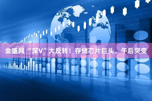 金盛网 “深V”大反转！存储芯片巨头，午后突变
